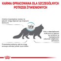ROYAL CANIN Anallergenic Cat 4kg