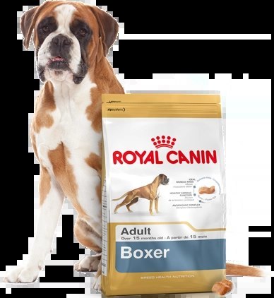 ROYAL CANIN Boxer Adult 12kg