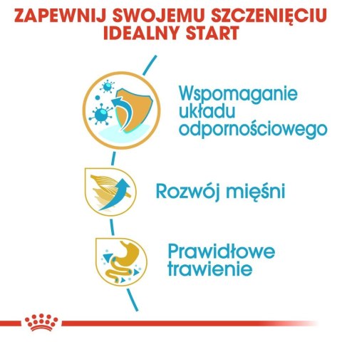 ROYAL CANIN Boxer Puppy 12kg