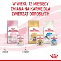 ROYAL CANIN Kitten Instinctive W Galaretce 12x85g