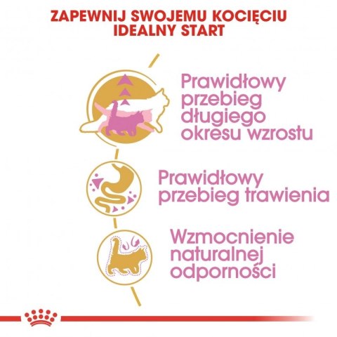 ROYAL CANIN Maine Coon Kitten 400g