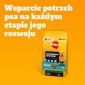 Pedigree Adult Professional Nutrition Drób Warzywa 12kg