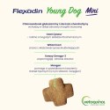 Vetoquinol Flexadin Young Dog Mini Kąski Dla Psa 60 Sztuk