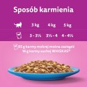 Whiskas Adult Saszetki 40 x 85g Rybne Przysmaki - Mokra Karma Dla Kota