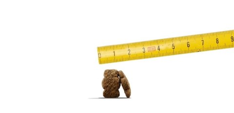 Josera Kids Karma Dla Szczeniąt 12,5kg