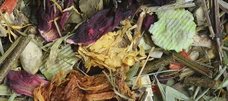 KORONA NATURY Natural-Vit Pokarm Dla Szynszyli 750g