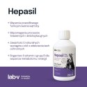 Lab-V Hepasil Dog & Cat Preparat Na Wątrobę Dla Psa I Kota 250ml