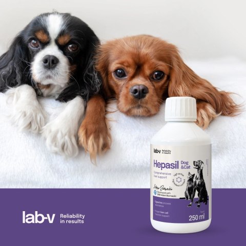 Lab-V Hepasil Dog & Cat Preparat Na Wątrobę Dla Psa I Kota 250ml