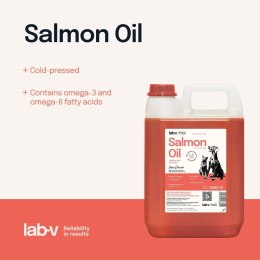 Lab-V Olej Z Łososia 100% Dla Psa I Kota W Każdym Wieku 5000ml Tłoczony Na Zimno