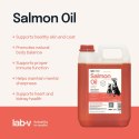 Lab-V Olej Z Łososia 100% Dla Psa I Kota W Każdym Wieku 5000ml Tłoczony Na Zimno