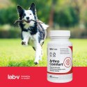 Lab-v Arthro Comfort Kompleksowe Wsparcie Zdrowia Stawów I Układu Ruchu Dla Psów I Kotów 45 Kapsułek