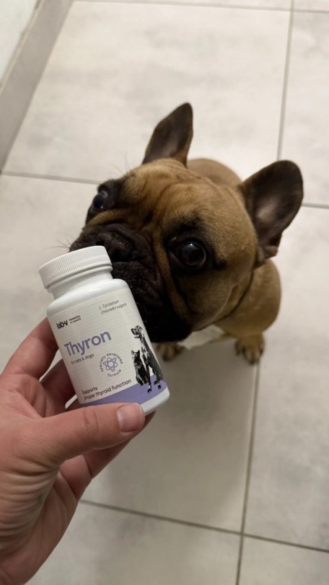 Lab-v Thyron - Wsparcie Prawidłowej Pracy Tarczycy dla Psów i Kotów 90 Kapsułek