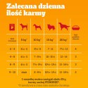 Pedigree Mokra Karma Dla Szczeniąt Mix Smaków Kurczak Z Ryżem, Jagnięcina Z Ryżem, Drób Z Ryżem I Wołowina Z Ryżem W Galaretce 1
