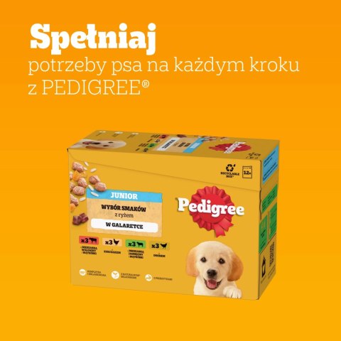 Pedigree Mokra Karma Dla Szczeniąt Mix Smaków Kurczak Z Ryżem, Jagnięcina Z Ryżem, Drób Z Ryżem I Wołowina Z Ryżem W Galaretce 1