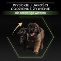 Purina Pro Plan Large Puppy Robust Optistart Kurczak I Ryż 12kg