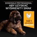 Purina Pro Plan Large Puppy Robust Optistart Kurczak I Ryż 12kg