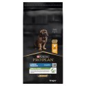Purina Pro Plan Large Puppy Robust Optistart Kurczak I Ryż 12kg