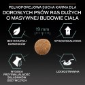 Purina Pro Plan Large Robust Optidigest Jagnięcina Z Ryżem 14kg