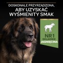 Purina Pro Plan Large Robust Optidigest Jagnięcina Z Ryżem 14kg