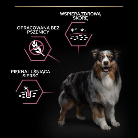 Purina Pro Plan Medium Adult Sensitive Skin Optiderma Łosoś I Ryż 14kg