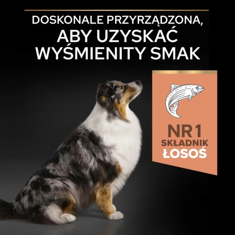 Purina Pro Plan Medium & Large 7+ Sensitive Optiderma Łosoś I Ryż 14kg