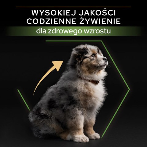Purina Pro Plan Medium Puppy Optistart Kurczak I Ryż 12kg