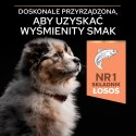 Purina Pro Plan Medium Puppy Sensitive Optiderma Łosoś I Ryż 12kg