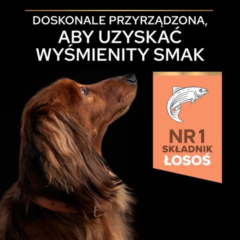 Purina Pro Plan Small & Mini Adult Sensitive Optiderma Łosoś I Ryż 7kg