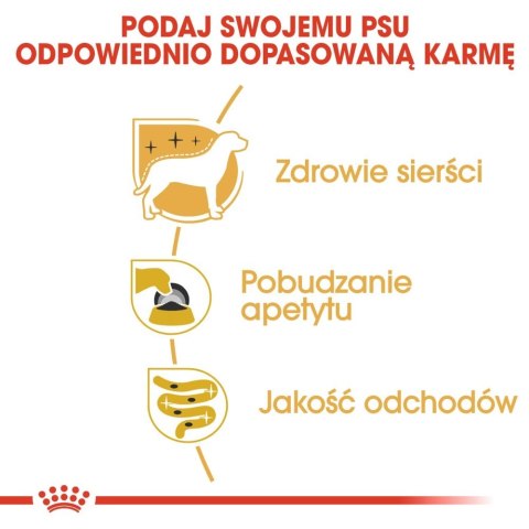 ROYAL CANIN Yorkshire Terrier Adult 12x85g