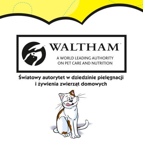 DREAMIES Przysmak Dla Kota Z Serem 60g