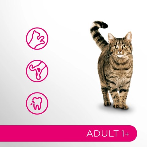 PERFECT FIT Adult 1+ Z Kurczakiem 7kg