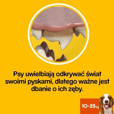 Pedigree DentaStix Przysmak Dentystyczny Dla Psów O Wadze 10-25kg 77g