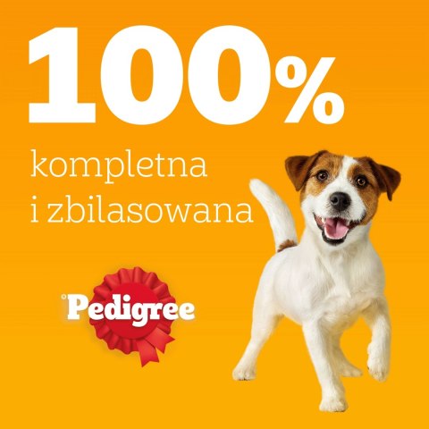 Pedigree Mokra Karma Dla Dorosłych Psów W Galaretce Mix Smaków (Z Wołowiną, Z Kurczakiem, Z Jagnięciną, Z Drobiem) 40x100g