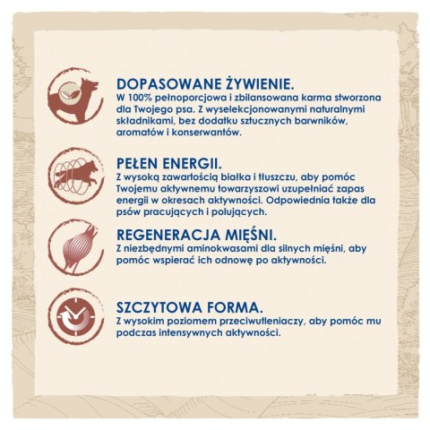 Purina Dog Chow Active Adult Z Kurczakiem 14kg