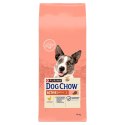Purina Dog Chow Active Adult Z Kurczakiem 14kg