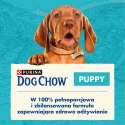 Purina Dog Chow Puppy Z Kurczakiem 14kg
