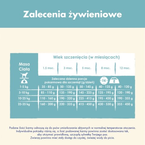 Purina Dog Chow Puppy Z Kurczakiem 14kg