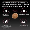 Purina Pro Plan Large Adult Robust Optiderma Łosoś Z Ryżem 14kg