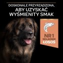 Purina Pro Plan Large Adult Robust Optiderma Łosoś Z Ryżem 14kg
