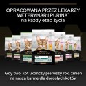 Purina Pro Plan Original Kitten Kurczak Z Ryżem 1,5kg