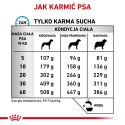 ROYAL CANIN Anallergenic 8kg
