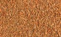 Tetra Pond Shrimp Mix 1l