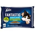 Felix Fantastic Wiejskie Smaki W Galaretce Z Łososiem I Pstrągiem 4x85g