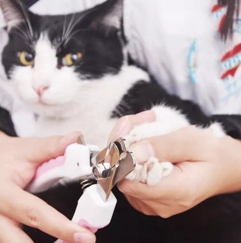 OBCINACZKI DO PAZURÓW DLA PSA