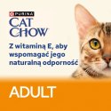 PURINA Cat Chow Adult Kurczak i cukinia Multipack 10x85g