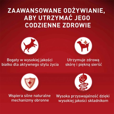 PURINA ONE Mini Active Kurczak, ryż - sucha karma dla psa - 800g