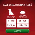 PURINA ONE Mini Active Kurczak, ryż - sucha karma dla psa - 800g