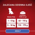 PURINA ONE Mini Adult Wołowina, ryż - sucha karma dla psa - 800g