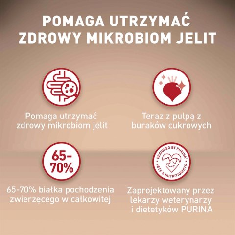 PURINA ONE Mini Delicate Łosoś, ryż - sucha karma dla psa - 800 g