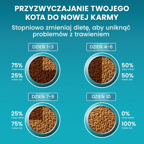 Purina One Cat Adult Karma Z Wołowiną Dla Kota 800g